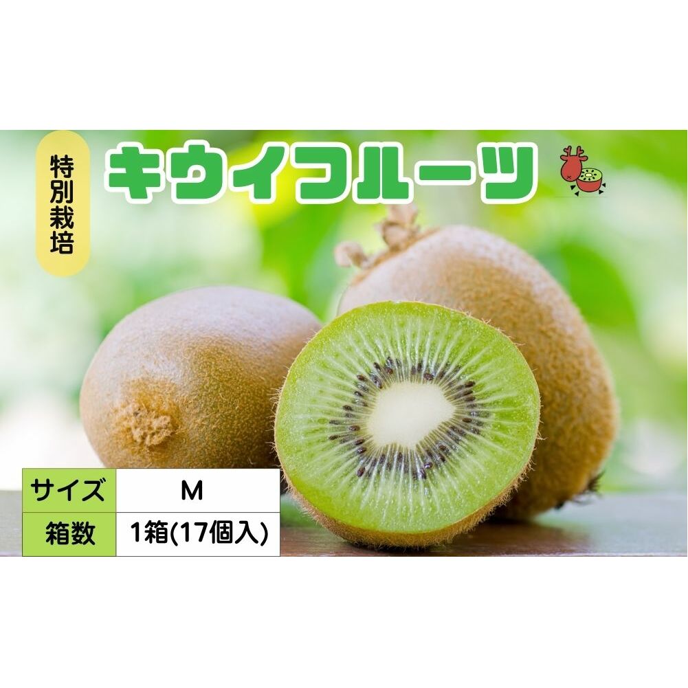 <12月以降順次発送>プレミアム キウイ フルーツ Mサイズ 17個入 追熟処理済 / ふるさと納税 キウイ キウイフルーツ ギフト 栄養 果物 お土産 化学肥料不使用 特別栽培 塩 奈良県 宇陀市 や
