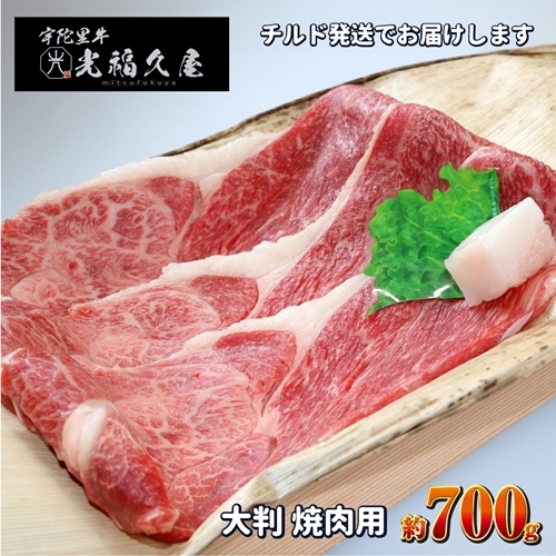 チルド 宇陀里牛 大判 焼肉用 約700g /ふるさと納税 ふるさと 焼肉 牛肉 700g バーベキュー BBQ キャンプ 黒毛和牛 お中元 お盆 お土産 お歳暮 内祝い 正月 すき焼き 奈良県 宇陀市 光福久屋奈