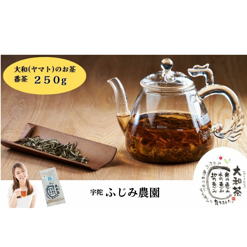 大和(ヤマト)のお茶 番茶 250g奈良県宇陀市7000お茶・飲料お茶