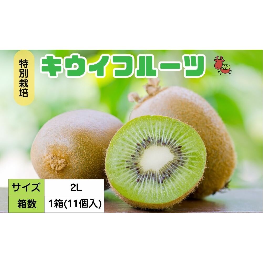 <12月以降順次発送>プレミアムキウイフルーツ 2L サイズ 11個入 追熟処理済/ ふるさと納税 キウイ キウイフルーツ ギフト 栄養 果物 お土産 化学肥料不使用 特別栽培 塩 奈良県 宇陀市 や