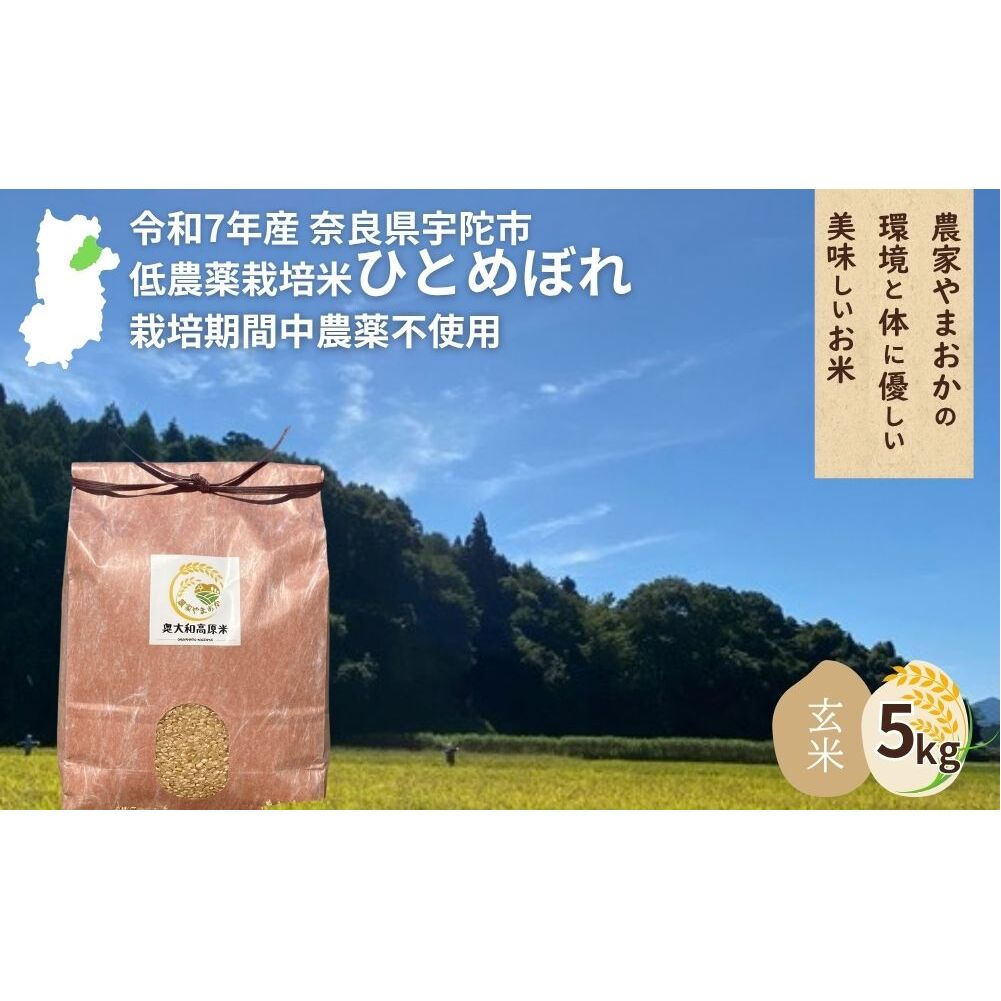 <令和7年産・先行予約>ひとめぼれ 玄米 5kg 9月末より順次発送 / ふるさと納税 低農薬 米 お米 こめ コメ 国産 新米 玄米 農家やまおか 奈良県 宇陀市奈良県宇陀市25000米・パン玄米・雑穀