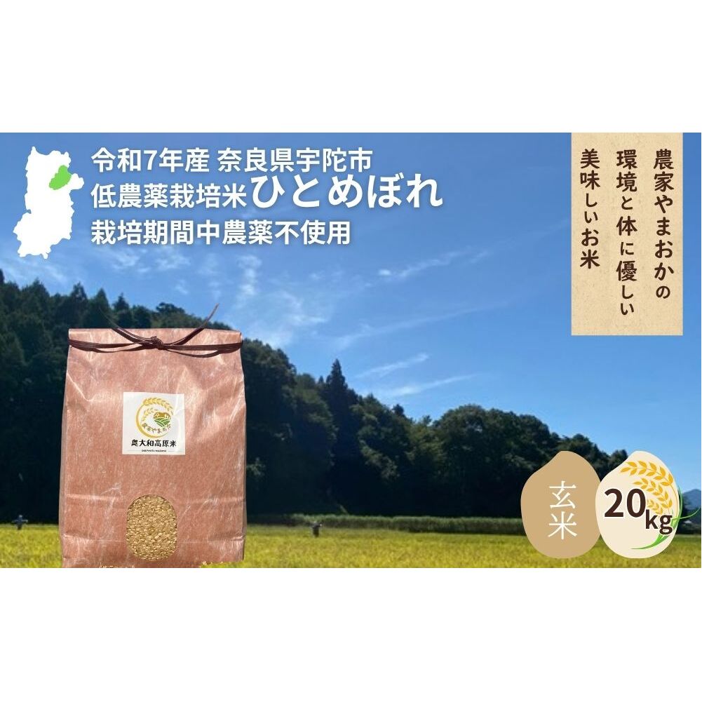 <令和7年産・先行予約>ひとめぼれ 玄米 20kg 9月末より順次発送 / ふるさと納税 低農薬 米 お米 こめ コメ 国産 新米 玄米  農家やまおか 奈良県 宇陀市奈良県宇陀市100000米・パン白米