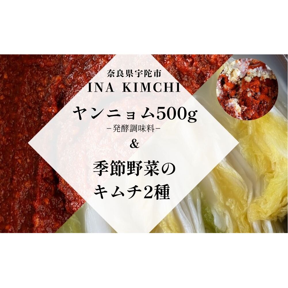 ヤンニョム500g &季節野菜のキムチ2種(各500g)/ ふるさと納税 キムチ ヤンニョムソース 赤キムチ 白キムチ 料理 グルメ INA Lab INA KIMCHI 取り寄せ 室生 奈良県 宇陀市奈良県宇陀市17000鍋セッ