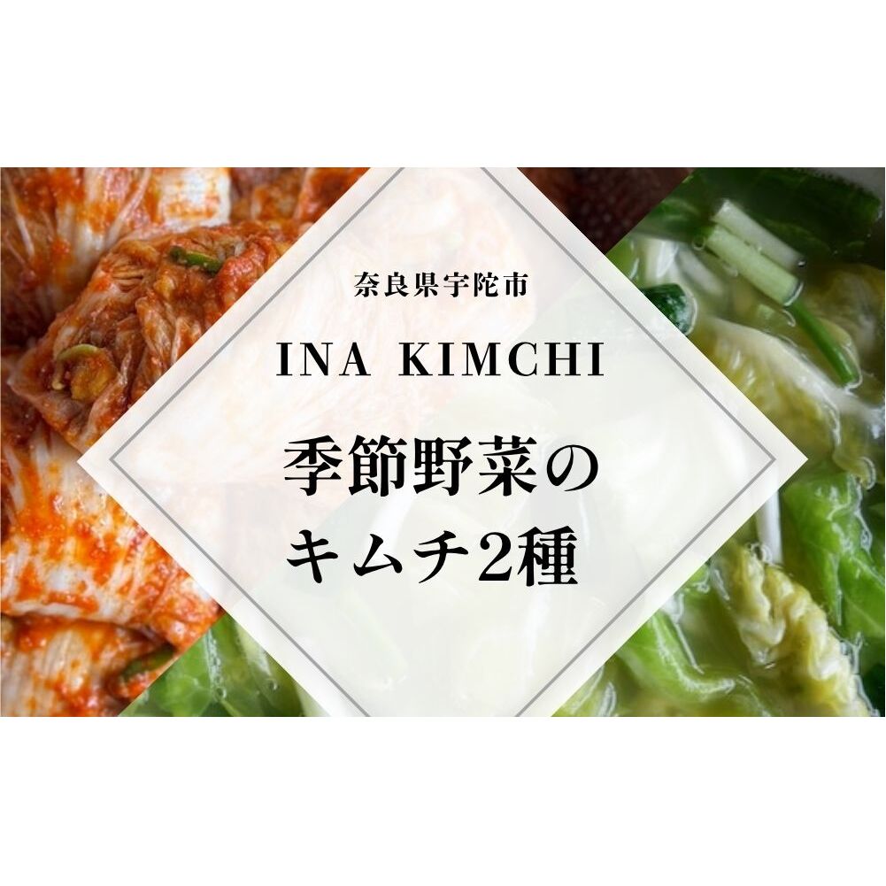 季節野菜のキムチ500g×2種類/ ふるさと納税 キムチ ふるさと 白菜 キャベツ 大根 赤キムチ 白キムチ 料理 グルメ INA Lab INA KIMCHI 取り寄せ 室生 奈良県 宇陀市奈良県宇陀市10000鍋セット・総菜