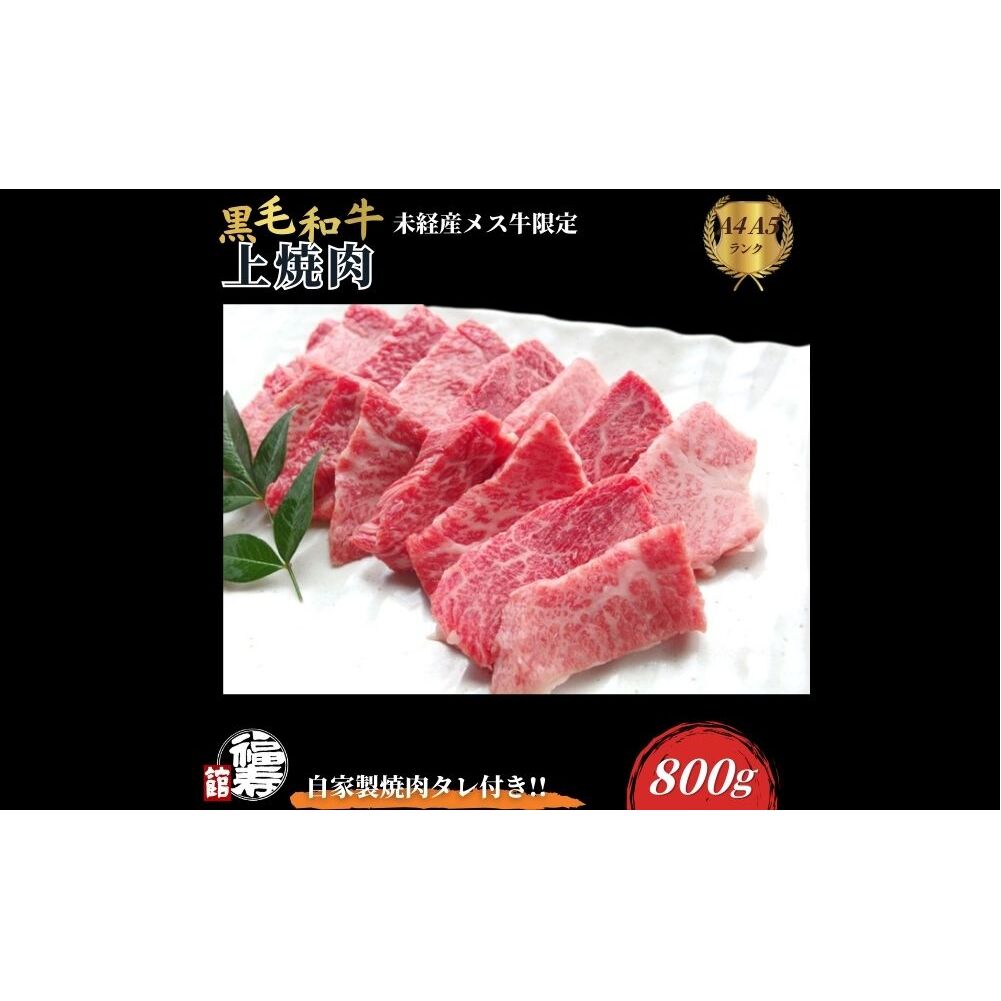 јa߂ ē 800g Ɛē̂t ^ ӂ邳Ɣ[ ē Mtg Zbg H јa  o    Ε  a Hו ޗǌ FɎs  ޗǌFɎs380
