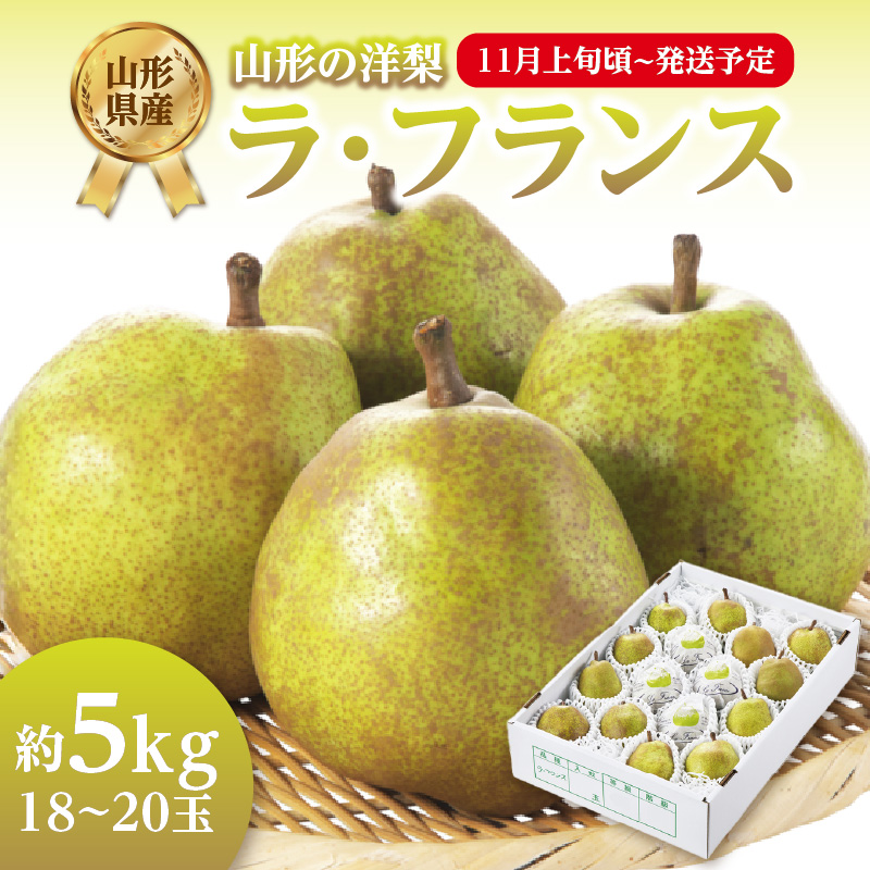 《先行受付》ラ・フランス 約5kg(18〜20玉)【2025年11月上旬頃〜発送予定】【山形洋梨】山形県大江町12000果物・フルーツりんご・梨