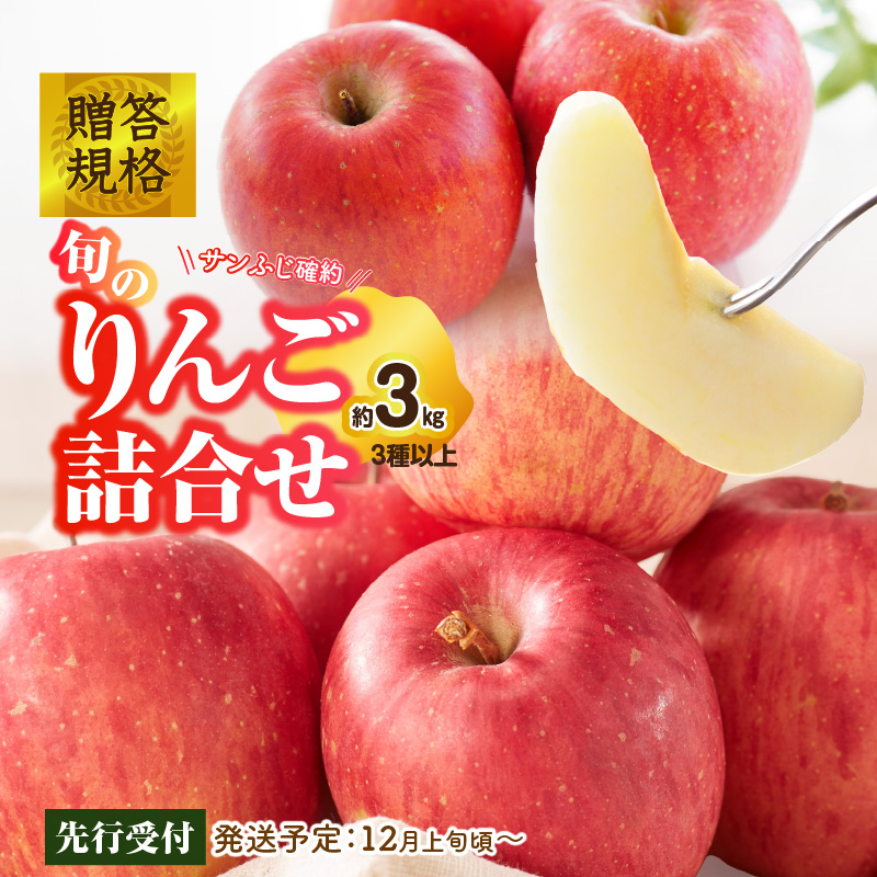 《先行受付》贈答規格 旬のりんご詰合せ約3kg(サンふじ確約3種以上)特秀〜秀 大江町産【2025年12月上旬頃〜発送予定】【大江町産・山形りんご・りんご専科 清野】山形県大江町11000果物・