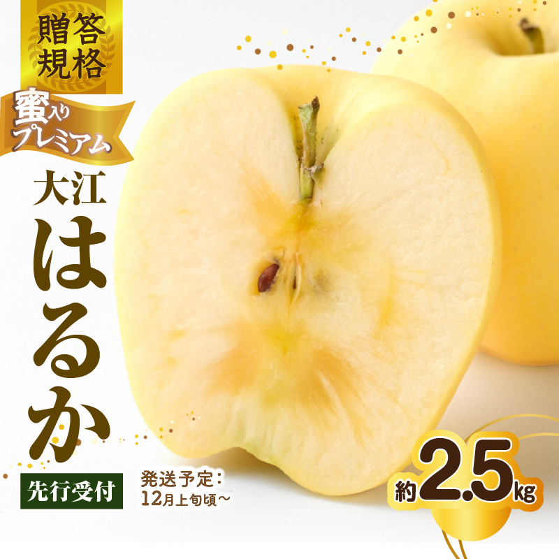 《先行受付》贈答規格 蜜入りプレミアム大江はるか約2.5kg 特秀〜秀【2025年12月上旬〜発送予定】【大江町産・山形りんご・りんご専科 清野】山形県大江町10000果物・フルーツりんご・梨