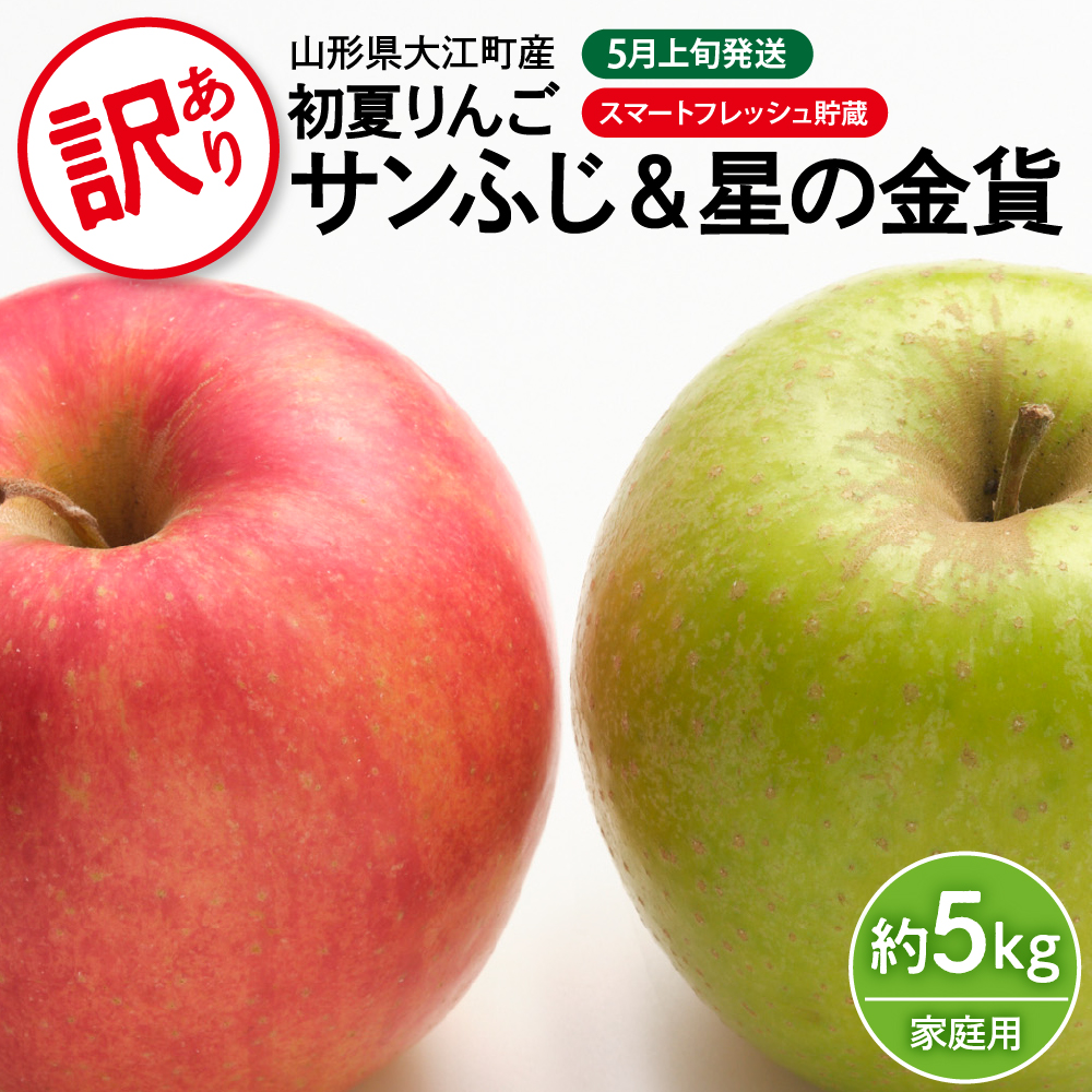 《先行予約》訳あり 初夏りんご 家庭用サンふじ&星の金貨 約5kg(スマートフレッシュ貯蔵)【2024年5月中旬頃〜発送予定】【山形りんご・大江町産・5月】山形県大江町11000果物・フルーツ