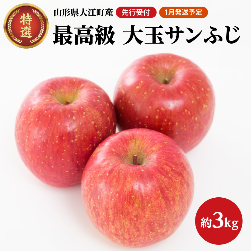 《先行受付》【2026年1月発送予定】 最高級 特選大玉サンふじ約3kg【大江町産・山形りんご・大地農産】山形県大江町10000果物・フルーツ