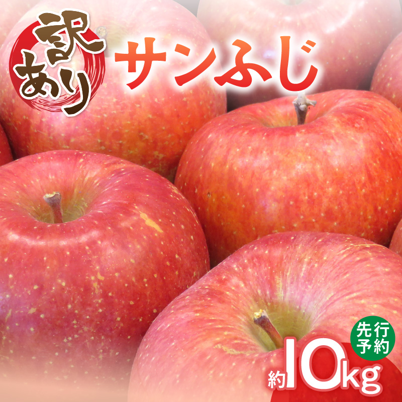 【訳あり】サンふじ10kg 28〜40玉【2024年12月中旬発送予定】山形県大江町12000果物・フルーツ