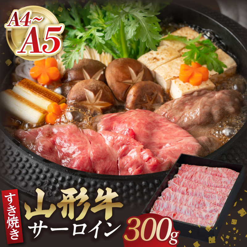 R`T[CĂ 300g y̏сzR`]32000