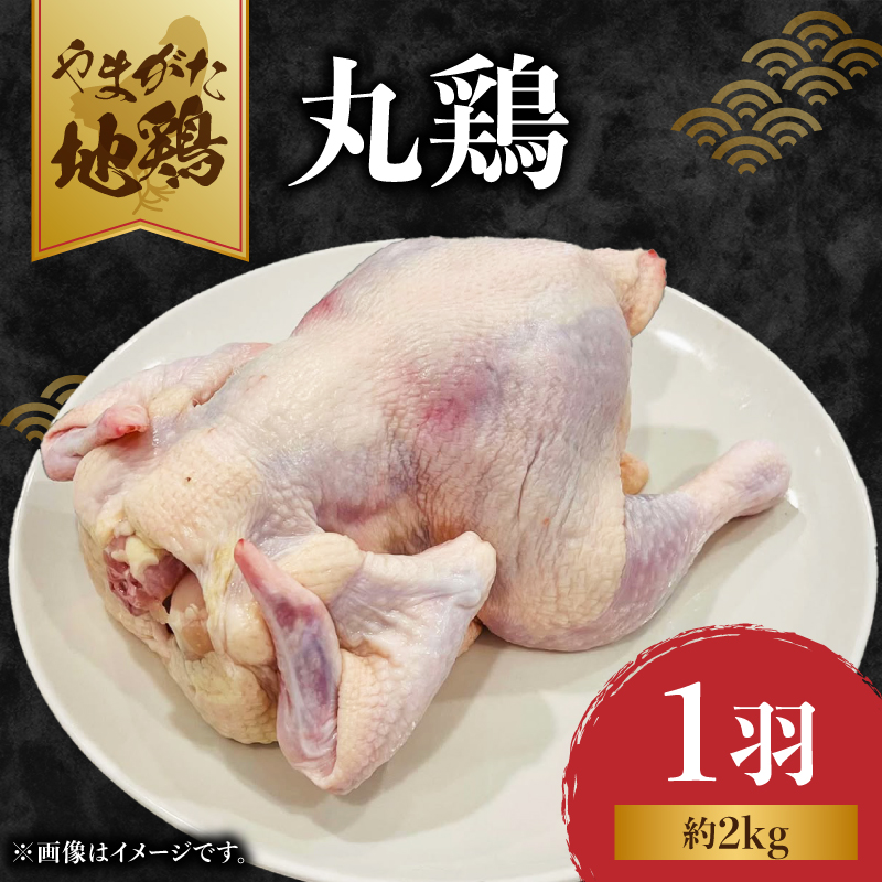 やまがた地鶏 丸鶏山形県大江町38000肉鶏肉