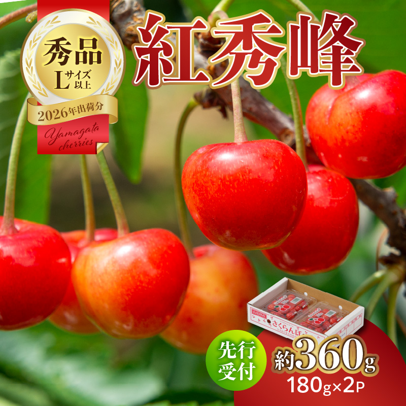 【2026年度先行受付】★さくらんぼ紅秀峰★約360g 秀品 【6月より順次発送予定】山形県大江町10000果物・フルーツさくらんぼ
