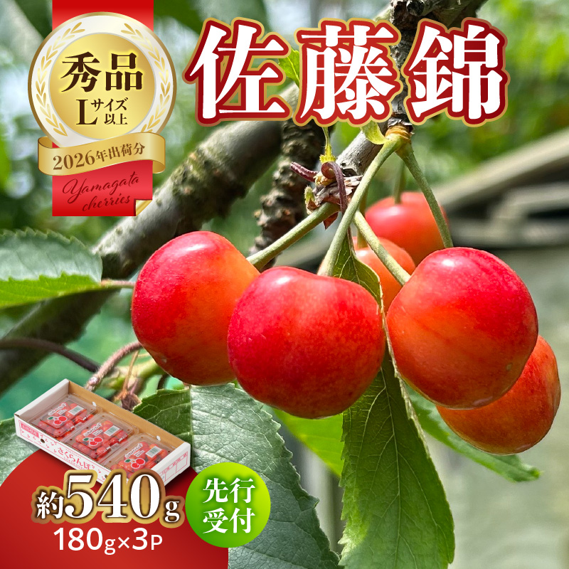 y2026Nxstzڍс540g Gi y6菇\zR`]14000ʕEt[c