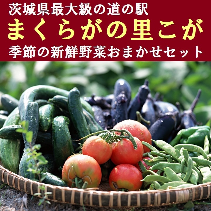 道の駅まくらがの里こが 季節の新鮮野菜おまかせセット ※沖縄、離島への発送不可 | 野菜 セット 詰合せ 詰め合わせ セット アソート 新鮮 道の駅 人気 ギフト 贈答 贈り物 プレゼント お