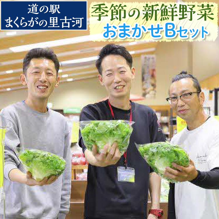 道の駅まくらがの里古河 季節の新鮮野菜おまかせBセット ※北海道・沖縄・離島への配送不可 | 野菜 詰合せ 詰め合わせ セット アソート 新鮮 道の駅 人気 ギフト 贈答 贈り物 プレゼント