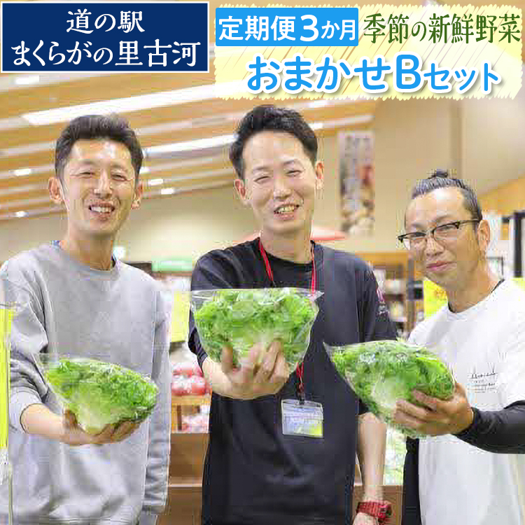 【定期便3か月】道の駅まくらがの里古河 季節の新鮮野菜おまかせBセット ※北海道・沖縄・離島への配送不可 | 野菜 詰合せ 定期便 詰め合わせ セット アソート 新鮮 道の駅 人気 ギフト