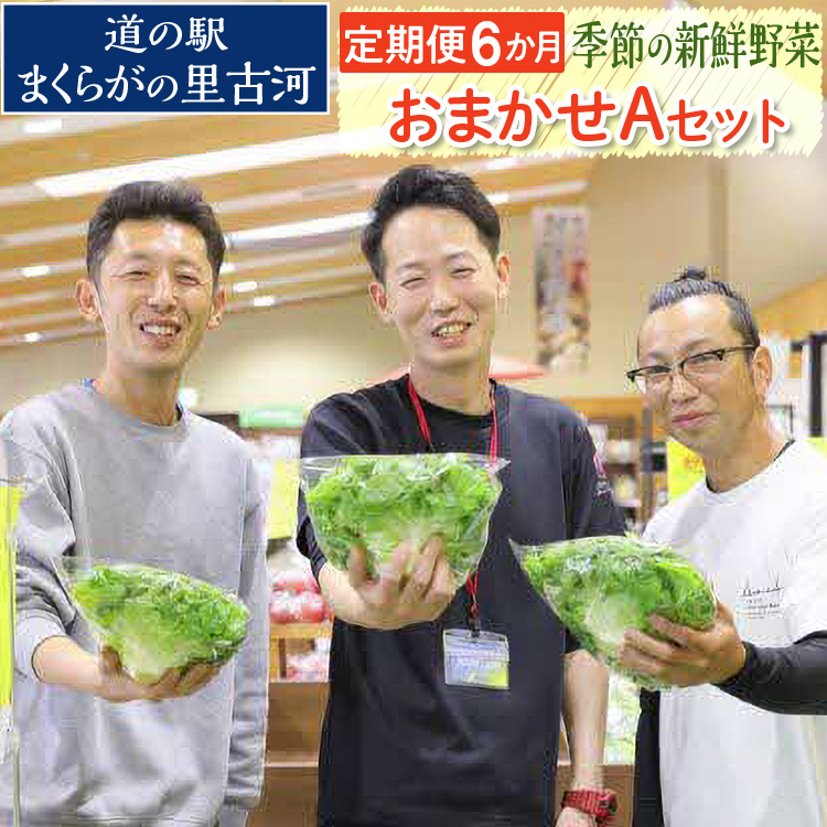 【定期便6か月】道の駅まくらがの里古河 季節の新鮮野菜おまかせAセット ※北海道・沖縄・離島への配送不可 | 野菜 詰合せ 詰め合わせ セット アソート 新鮮 道の駅 人気 ギフト 贈答 贈