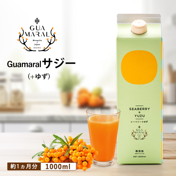TW[W[X+䂸 1000ml×1{ TW[ V[x[  OA} NhN N e h{ ʏ` S⋋ h{⋋ NHi_DX03錧É͎s10000Ȇ E