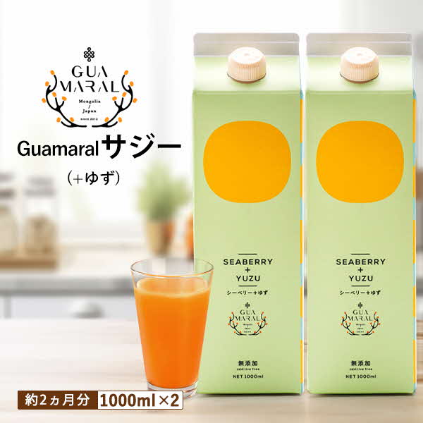 サジージュース+ゆず 1000ml×2本セット サジー シーベリー 沙棘 グアマラル 健康ドリンク 健康 美容 栄養 果汁 鉄分補給 栄養補給 健康食品_DX05茨城県古河市19000お茶・飲料果汁・野菜飲料