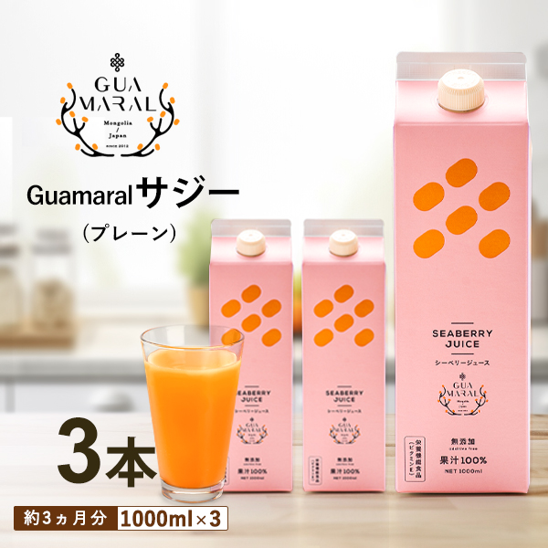 TW[W[X 100% 1000ml×3{Zbg TW[ V[x[  OA} NhN N e h{ ʏ` S⋋ h{⋋ NHi_DX07錧É͎s28000Ȇ E