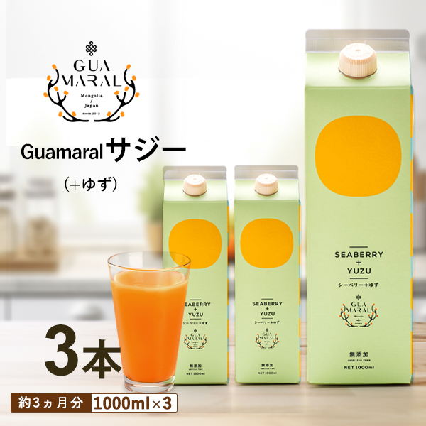 サジージュース+ゆず 1000ml×3本セット サジー シーベリー 沙棘 グアマラル 健康ドリンク 健康 美容 栄養 果汁 鉄分補給 栄養補給 健康食品_DX08茨城県古河市28000お茶・飲料その他 お茶・飲料