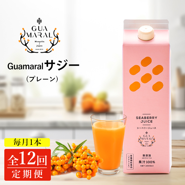 yցz TW[W[X 100% 1000ml×1{ 12R[X TW[ V[x[  OA} NhN N e h{ ʏ` S⋋ h{⋋ NHi_DX09錧É͎s111000E