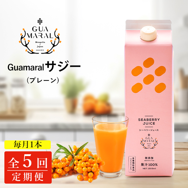 【定期便5カ月】サジー グアマラルサジー 1000ml 毎月1本5カ月コース|サジージュース サジー シーベリー 沙棘 グアマラル 健康ドリンク 健康 美容 栄養 果汁 鉄分補給 栄養補給 健康食品_DX2