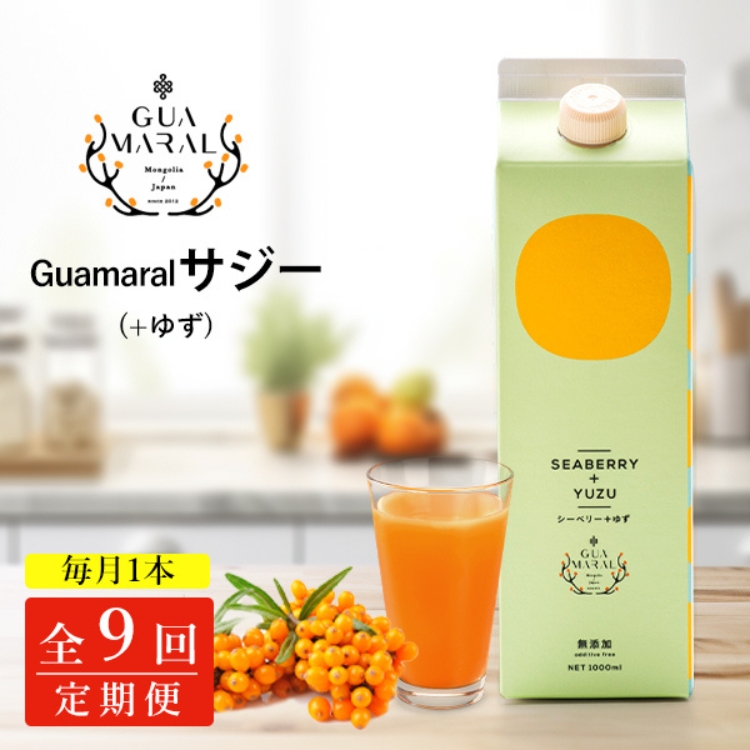 【定期便9カ月】サジー グアマラルサジー+ゆず 1000ml 毎月1本9カ月コース|サジージュース サジー 沙棘 グアマラル 健康ドリンク 健康 美容 栄養 果汁 鉄分補給 栄養補給 健康食品 _DX33茨