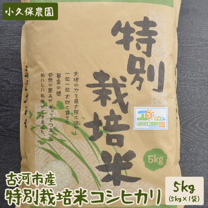 【令和6年産】古河市産 特別栽培米コシヒカリ5kg【小久保農園】 | こめ コメ 米 白米 精米 ご飯 単一米 国産 茨城県産 古河市 ギフト 贈答 贈り物 プレゼント お祝 ご褒美 記念日 景品 _AS05茨
