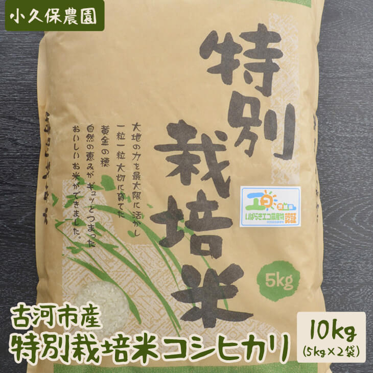 【令和6年産】古河市産 特別栽培米コシヒカリ10kg【小久保農園】 | 米 こめ コメ 10キロ こしひかり コシヒカリ特別栽培米 古河市産 茨城県産 贈答 贈り物 プレゼント 茨城県 古河市 直送 農