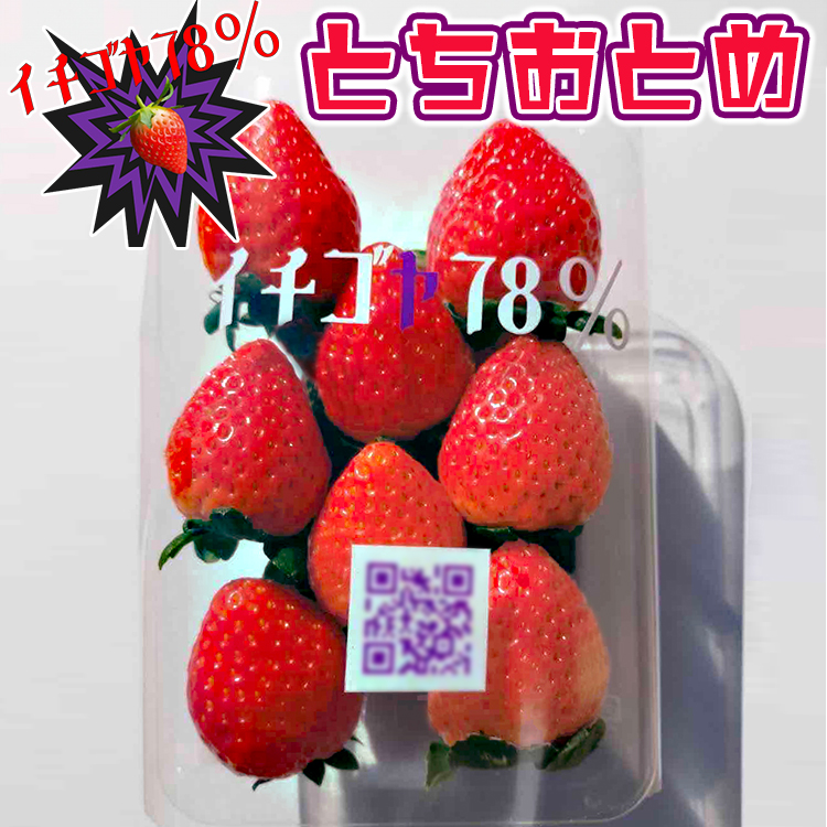 ā`IIÂIIƍJŉ\䕂ςHׂĂlHׂĂق? ƂƂ260g×4pbN  |   C`S  1L t[c  g`Ig  