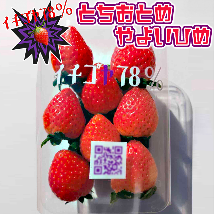 早く見つけて〜!!甘い!美味しい!と巷で噂の苺をいっぱい食べてる人程食べてほしい? とちおとめ260g×2&やよいひめ260g×2  | いちご 苺 イチゴ 約 1キロ 食べ比べ フルーツ おいしい やよ