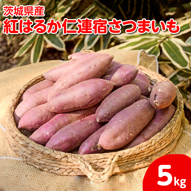 y2024N12菇zyTCY~bNXz錧Yg͂邩mAh܂5kg b ܂ F    N wV[  XC[c H@   Y Mtg