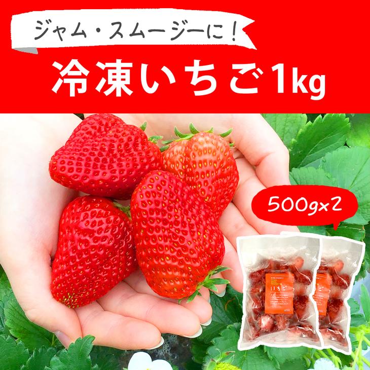 摘みたて!便利な小分け!冷凍いちご1kg(500g×2) | いちご 苺 イチゴ 1キロ 冷凍 フルーツ 小分け おいしい ジャム スムージー かき氷 いばらキッス 紅ほっぺ よつぼし 恋みのり 贈答 贈り物 プ