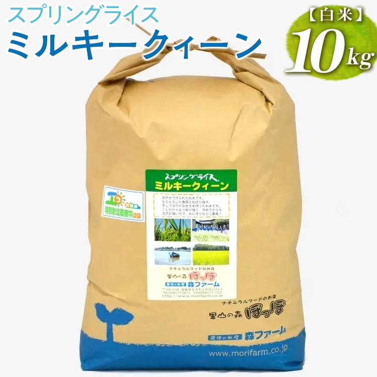 スプリングライス ミルキークィーン (白米)10kg ※着日指定不可 | 米 こめ コメ 10キロ 精米 白米 ミルキークイーン みるきーくいーん 古河市産 茨城県産 取り寄せ お取り寄せ ギフト 贈答 贈