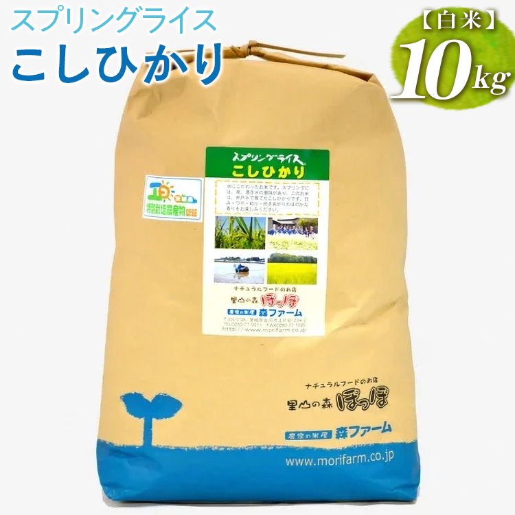 スプリングライス こしひかり (白米)10kg ※着日指定不可 | 米 こめ コメ 10キロ 精米 白米 こしひかり コシヒカリ 古河市産 茨城県産 取り寄せ お取り寄せ ギフト 贈答 贈り物 プレゼント お中