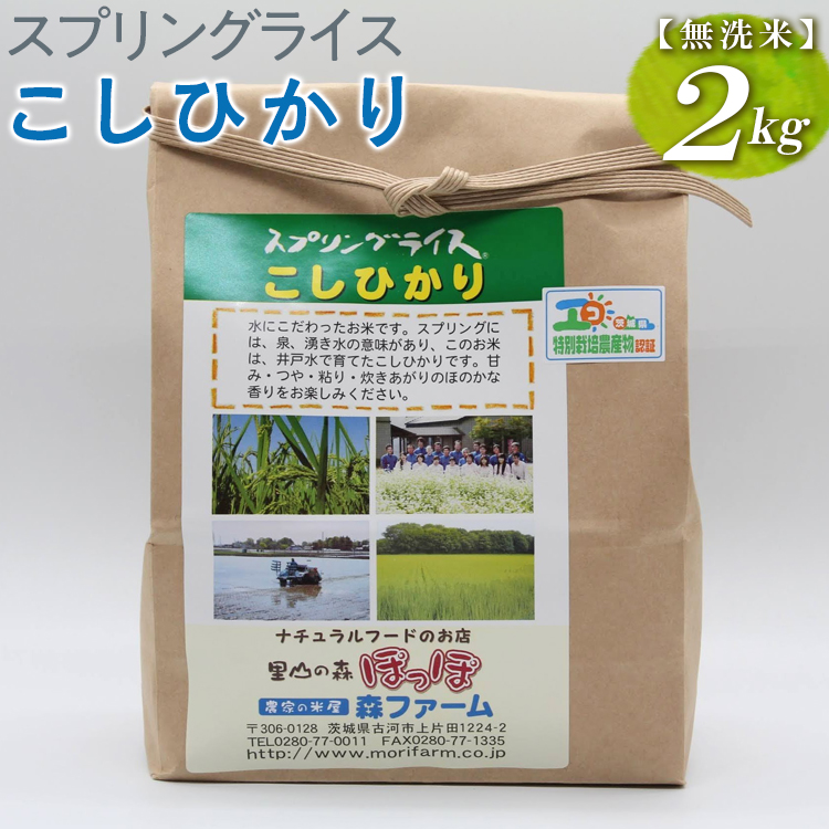 スプリングライス こしひかり (無洗米)2kg ※着日指定不可 | 米 こめ コメ 2キロ 無洗米 白米 こしひかり コシヒカリ 古河市産 茨城県産 取り寄せ お取り寄せ ギフト 贈答 贈り物 プレゼント