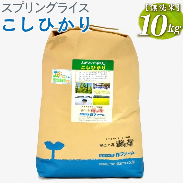 スプリングライス こしひかり (無洗米)10kg ※着日指定不可 | 米 こめ コメ 10キロ 無洗米 白米 こしひかり コシヒカリ 古河市産 茨城県産 取り寄せ お取り寄せ ギフト 贈答 贈り物 プレゼント
