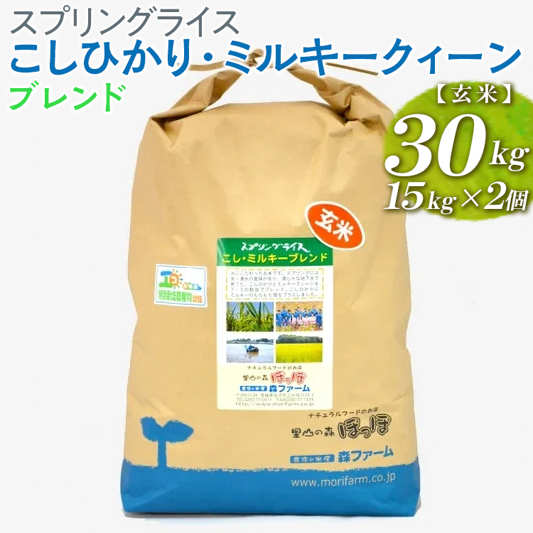 スプリングライス こしひかり・ミルキークィーン ブレンド (玄米)30kg(15kg×2個) ※着日指定不可 | 米 こめ コメ 30キロ 玄米 ブレンド米 こしひかり コシヒカリ ミルキークイーン みるきーくい