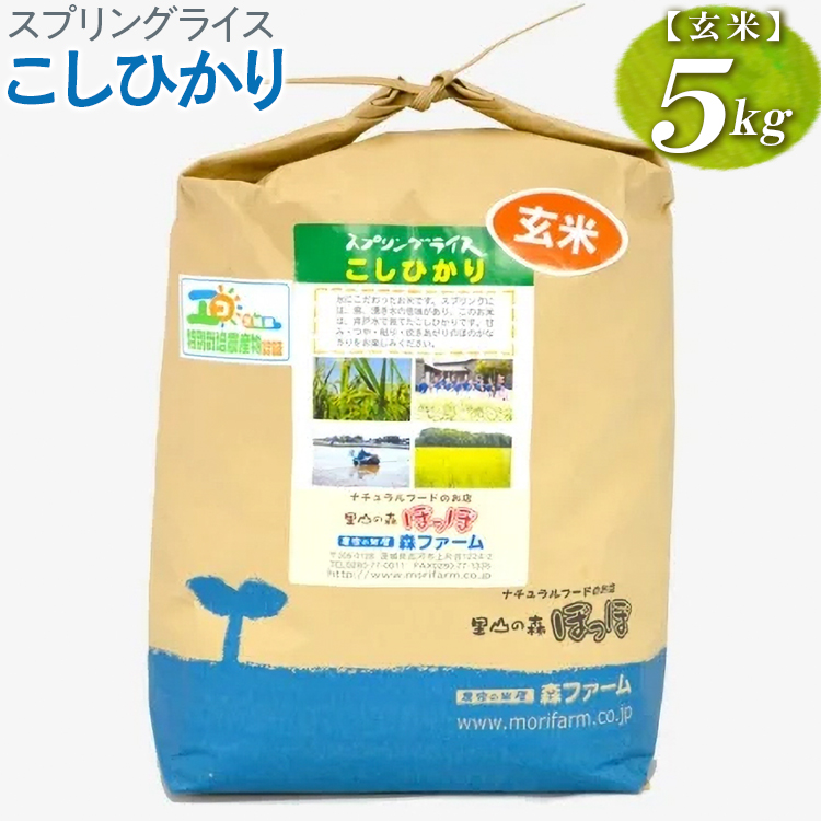 スプリングライス こしひかり (玄米)5kg | 米 こめ コメ 5キロ 玄米 こしひかり コシヒカリ 古河市産 茨城県産 取り寄せ お取り寄せ ギフト 贈答 贈り物 プレゼント お中元 お歳暮 茨城県 古河