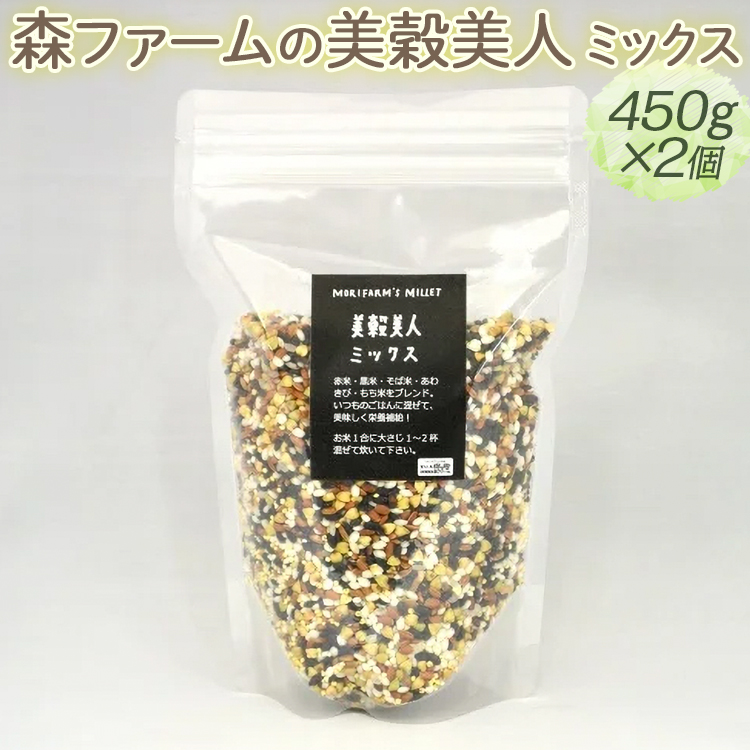 Xt@[̔l ~bNX 450g×2bN Y wV[ H@ uh G I[KjbN   ֗ ȒP Yn Mtg  v[g J 900g  É͎s _BI99