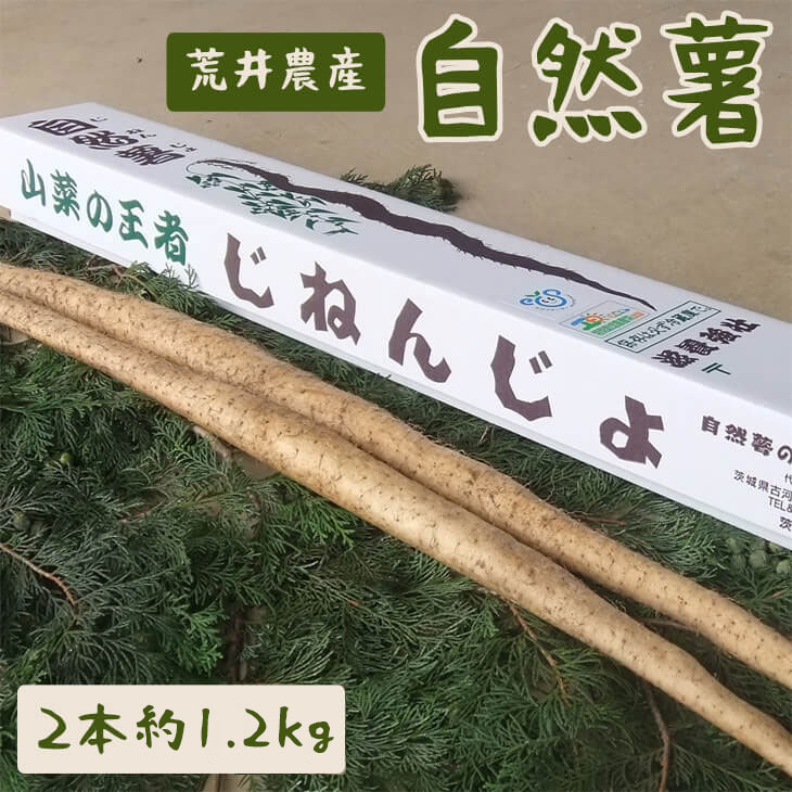 Ri2{ 1.2kgj| 1.2L т̂  Ƃ ͔| N h{ R R̈ Y Yn _ƒ  蕨 v[g 錧 É͎s r_Y  _ƒ Yn _AC01