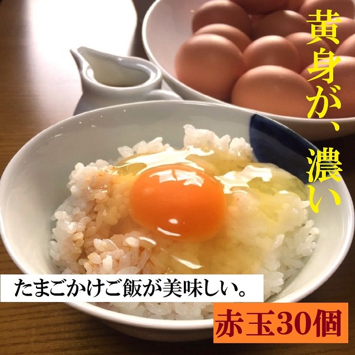 江原ファーム 体に優しい地養卵 30個 割れ補償 | 卵 30個 赤玉 玉子 たまご タマゴ 生卵 鶏卵 生みたて 産みたて 地養卵 新鮮 濃厚 健康 TKG たまごかけごはん ご飯のお供 国産 ギフト 贈答