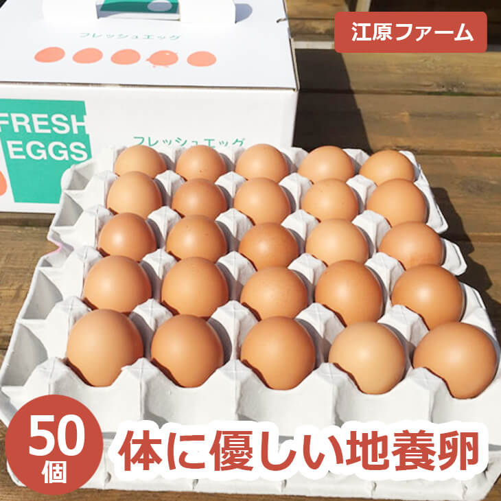 江原ファーム 体に優しい地養卵 50個 割れ補償 | 卵 50個 赤玉 玉子 たまご タマゴ 生卵 鶏卵 生みたて 産みたて 地養卵 新鮮 濃厚 健康 TKG たまごかけごはん ご飯のお供 国産 ギフト 贈答