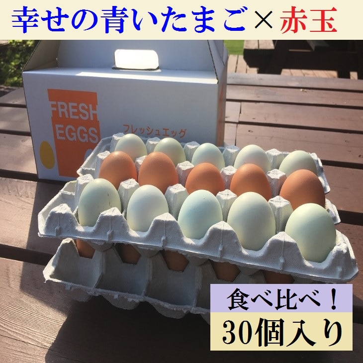 江原ファーム ふるさと納税 たまご 地養卵&アローカナハーフセット 計30個 割れ補償 | 卵 30個 食べ比べ 玉子 たまご タマゴ 生卵 鶏卵 生みたて 産みたて アローカナ 地養卵 食べくらべ