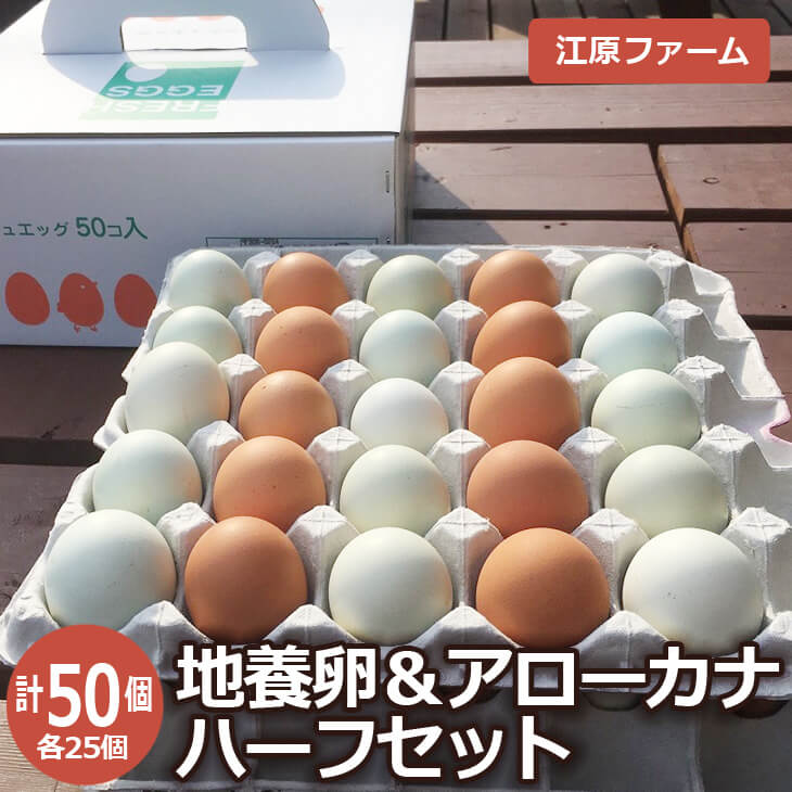 江原ファーム 地養卵&アローカナハーフセット 計50個 割れ補償 | 卵 50個 食べ比べ 玉子 たまご タマゴ 生卵 鶏卵 生みたて 産みたて アローカナ 地養卵 食べくらべ セット 新鮮 濃厚 健康