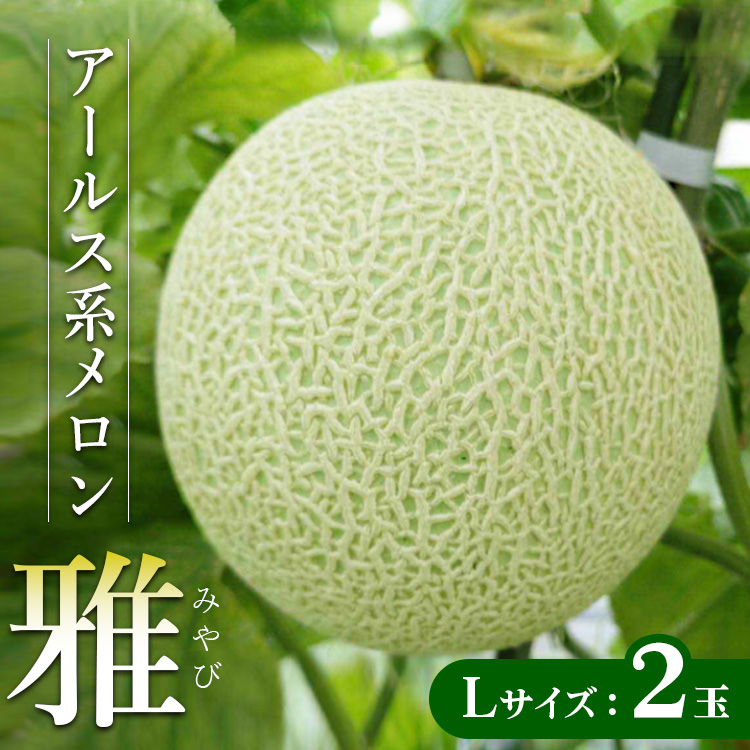 アールス系メロン”雅”(みやび) 2玉 ※2025年7月上旬〜7月中旬頃に順次発送予定 ※北海道・沖縄・離島への配送不可 | メロン めろん 雅 果物 フルーツ 旬 坂東太郎 あまい 甘い 人気 取り寄
