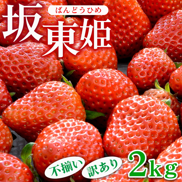 坂東姫 2kg 不揃い訳あり|いちご 苺 イチゴ 訳あり 坂東太郎 果物 フルーツ 紅ほっぺ オリジナル ブランド 期間限定 季節物 美味しい 甘い 酸味 茨城県 古河市_CB22 ※北海道・沖縄・離島への